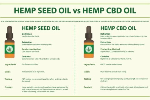 Hemp Seed Oil Vs CBD Oil